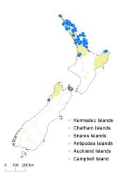Tmesipteris sigmatifolia distribution map based on databased records at AK, CHR and WELT.
 Image: K. Boardman © Landcare Research 2014 CC BY 3.0 NZ